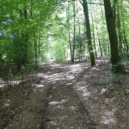 Апартаменты Afrika Eggesin